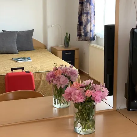 Lilium Guest house *