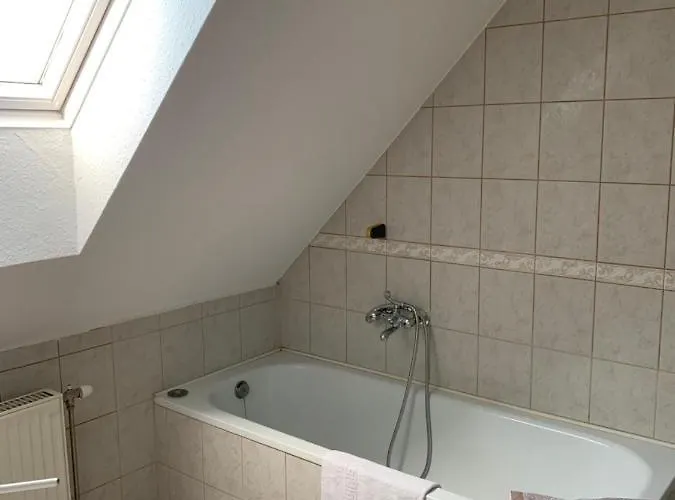 Lilium 3* Хевиз